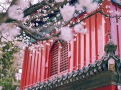 -大觉寺-停车场