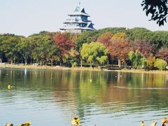 -金鸡湖桃花岛