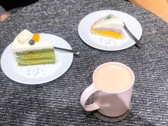 -猫里有甜
