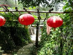 android_upload_pic-南窖乡水峪村山情农家