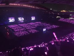 -南京奥林匹克体育中心-体育馆