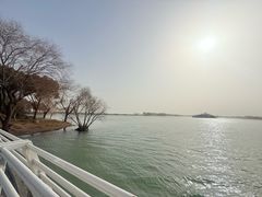 -贡湖湾湿地公园