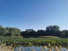 -三忘湖 SWANSEEN(柳荫公园店)