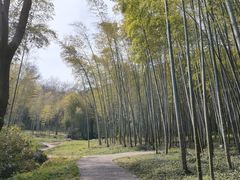 -采石矶景区