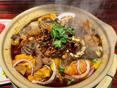 -沙胆彪炭炉牛杂煲(上海日月光广场店)