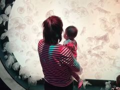 -沈阳海洋探索中心