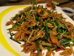 韭菜花炒河虾-新悦·霞浦海鲜生(上下杭店)