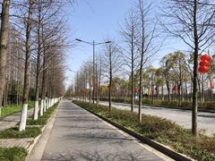 -上海长兴岛郊野公园