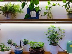 -爸爸糖手工吐司(苏州环球188店)