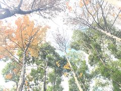 -长广溪湿地公园