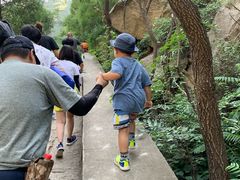 -碓臼峪自然风景区