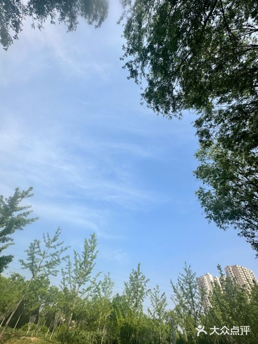 坝河休闲公园图片