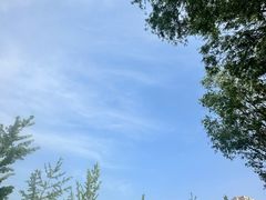 -坝河休闲公园