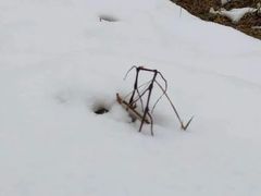 -世界之窗阿尔卑斯冰雪世界
