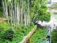 -广东温泉宾馆
