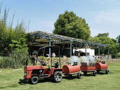 -田园东方蜜桃村的田野营地