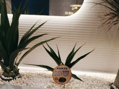 -兰湘子·湘菜小炒(崂山丽达店)