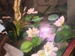 -韵秋荷(宝山龙湖天街店)