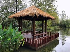 -溱湖国家湿地公园