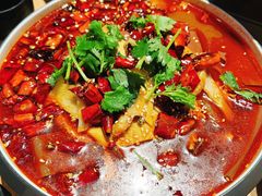 -川堂风·跷脚牛肉·乐山爆炒(宝山日月光店)