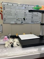 -复旦大学附属妇产科医院(黄浦院区)