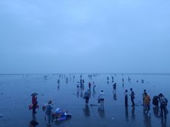 -奉贤海滩