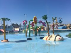 -秦皇岛乐岛海洋王国