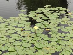 -苏州河梦清园环保主题公园