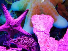 -乌鲁木齐海洋馆