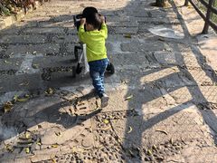 -深圳野生动物园
