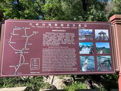 -大岭沟猕猴桃谷风景区