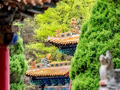 -藏山旅游风景区