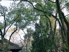 -汇龙潭
