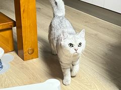 -谐和益家动物医院·免疫绝育·血液透析·宠保定点医院(高新伊藤分院)