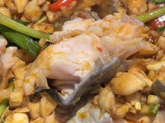 -黑猫馋纸包鱼(阳光店)