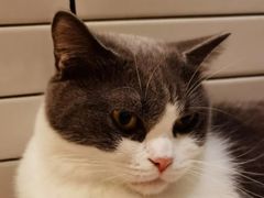 -Catmate·猫肥家润(金润铂宫店)