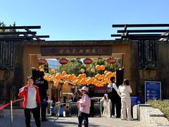 -云南民族村