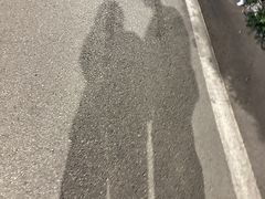 -望湖公园