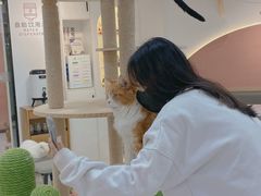 -喵园·猫主题咖啡厅·撸猫·猫咖(国贸店)