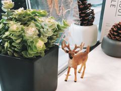-Manner Coffee(大宁国际商业广场店)