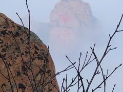 -崂山巨峰游览区