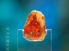 -北京大葆台遗址博物馆