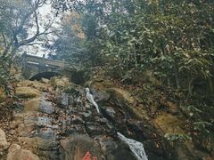 -莫干山风景区