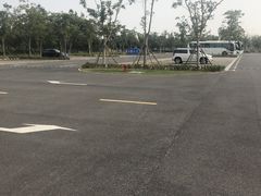 -上海滨江森林公园·停车场