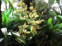 -上海虹桥西郊假日酒店