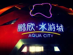 水游城&nbsp;夜景-鹏欣水游城