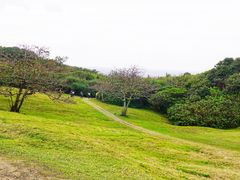 -鹅銮鼻公园
