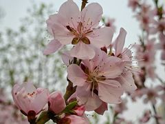 -木塔寺遗址生态公园