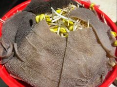 -钢管厂五区小郡肝串串香火锅(梅川路店)