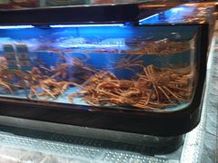 -阿伟海鲜楼·福建菜(延寿店)